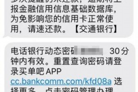 西丰为什么选择专业追讨公司来处理您的债务纠纷？